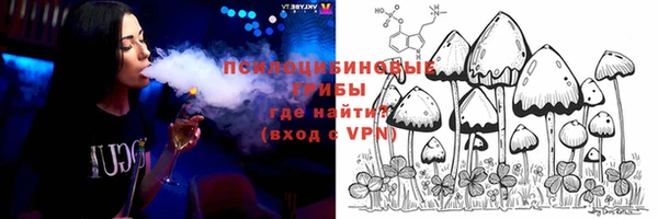 эйфоретик Гусиноозёрск