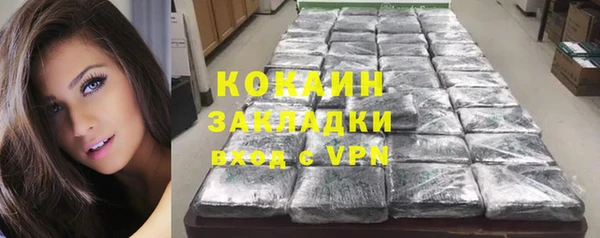 крисы Гусев