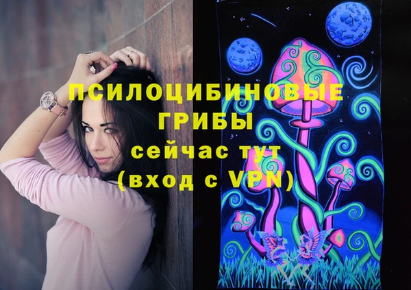 эйфоретик Гусиноозёрск
